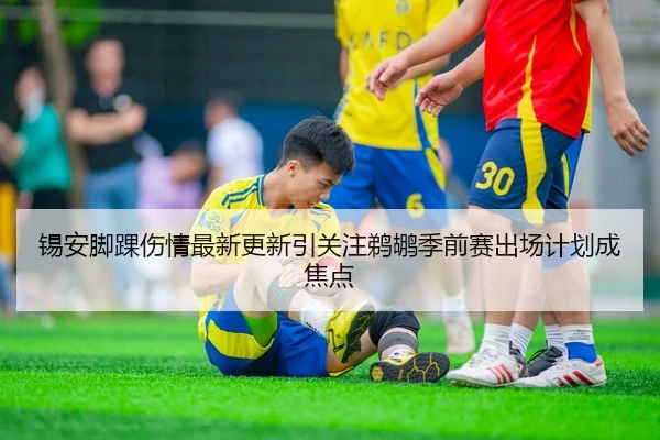 锡安脚踝伤情最新更新引关注鹈鹕季前赛出场计划成焦点
